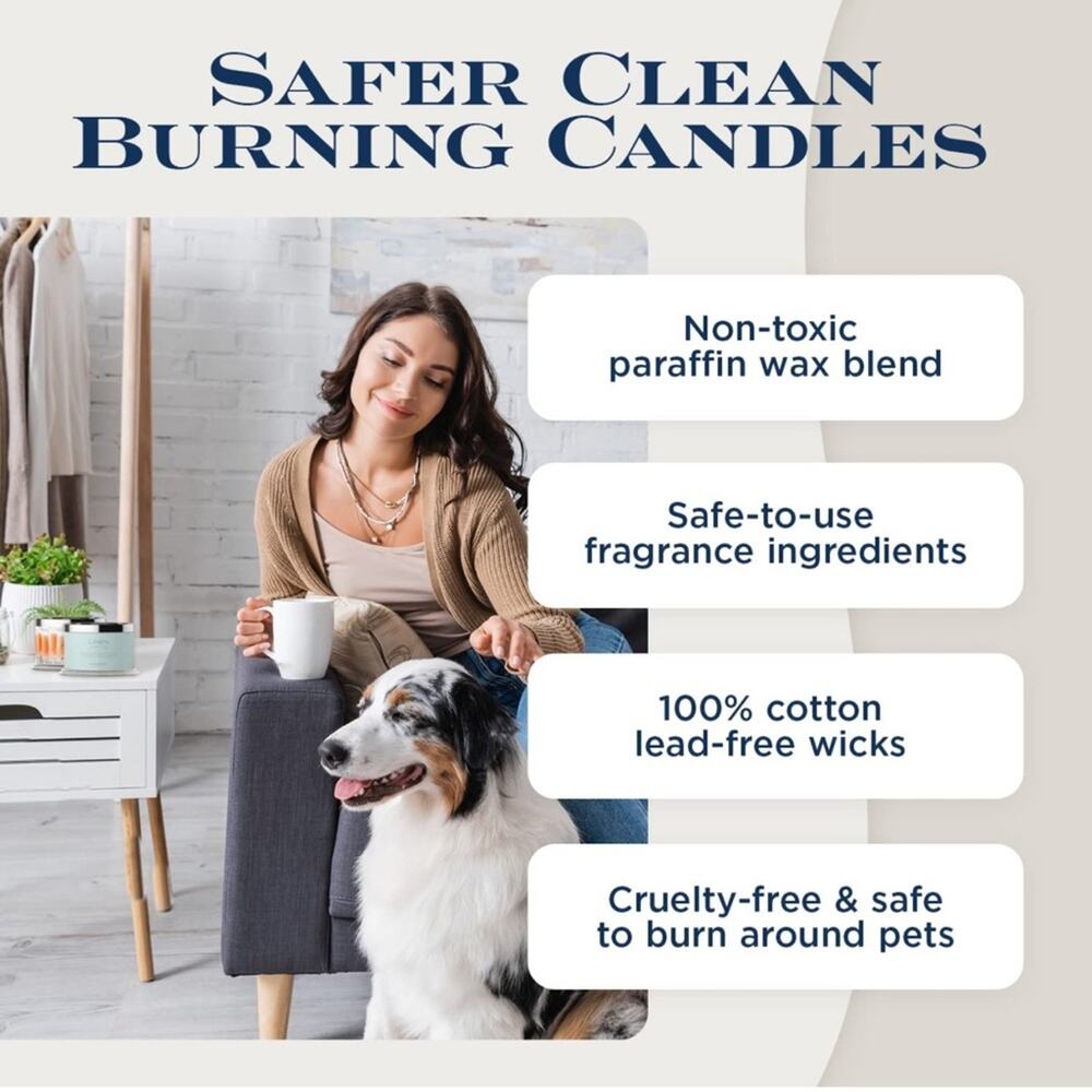 π HomeWorx Blueberry Cheesecake 4 wick candle blogger fan favorite 18 oz - Picture 10 of 12